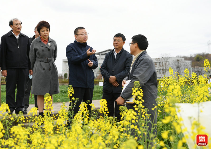 2021年2月26日，元方調(diào)研科技創(chuàng)新工作7  張莉 攝.jpg