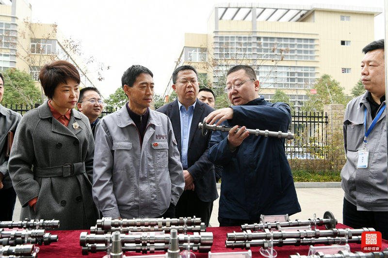 2021年2月26日，元方調(diào)研科技創(chuàng)新工作11  張莉 攝.jpg