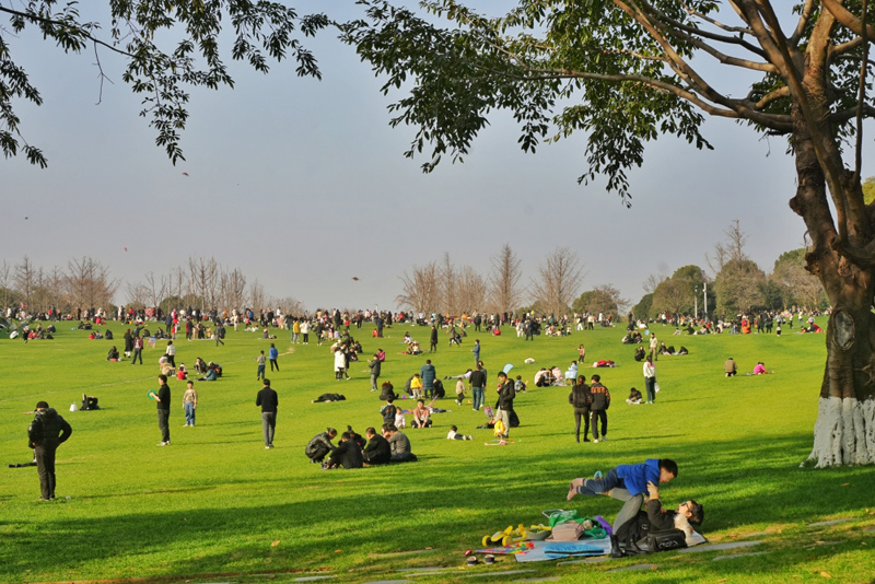 重慶中央公園，市民在草坪上曬太陽、放風箏。重慶日報.jpg