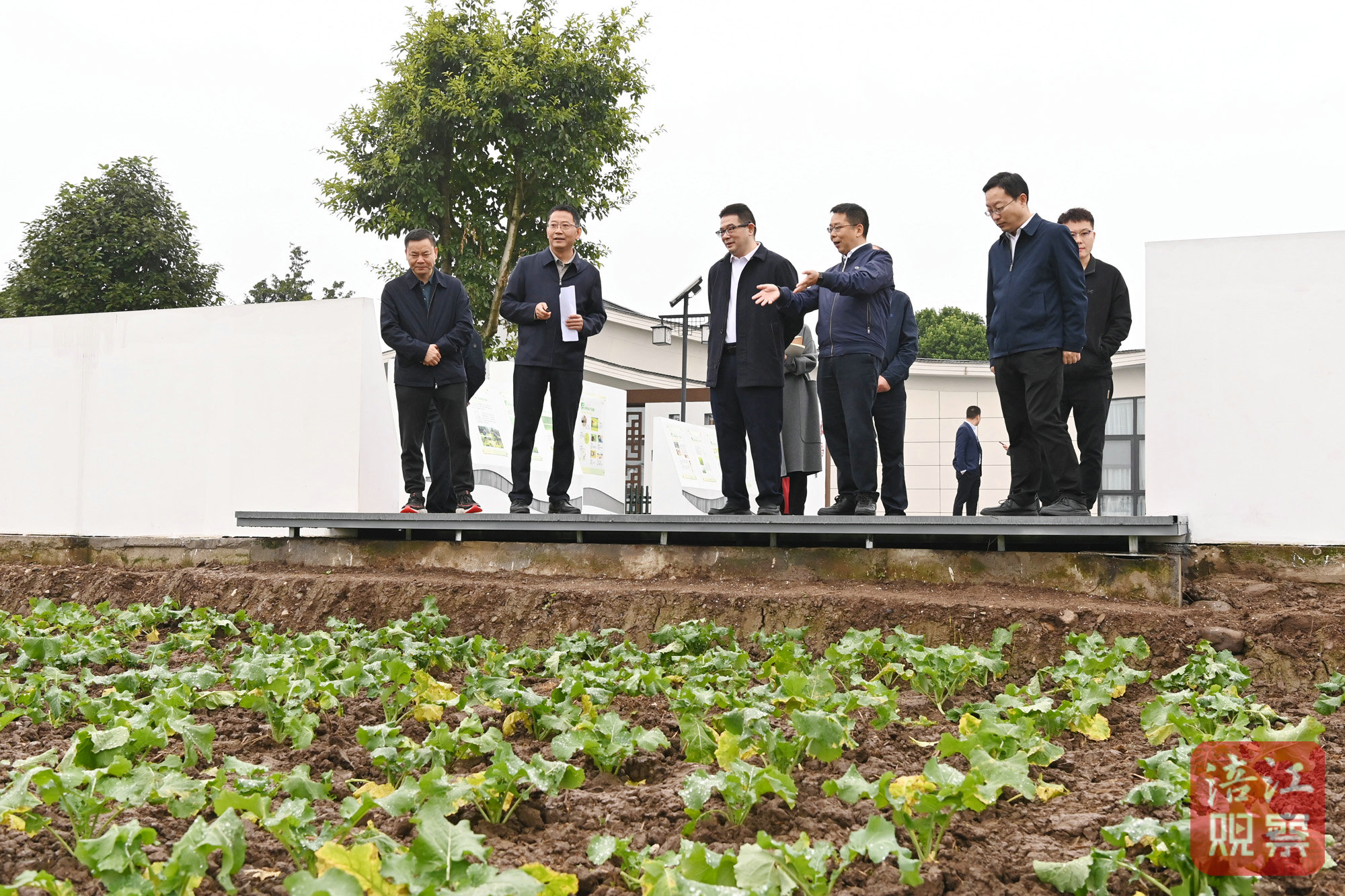 2024年11月10日，李云赴安州調(diào)研學(xué)習(xí)運(yùn)用“千萬(wàn)工程”經(jīng)驗(yàn)4  張莉 攝.jpg