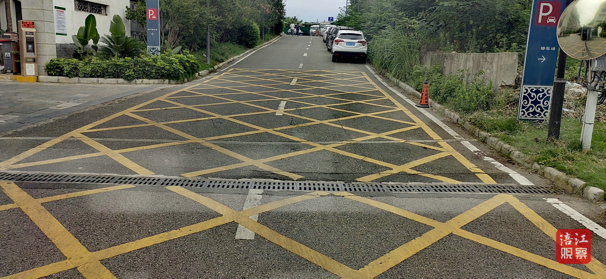 W020250703369893079316.jpg